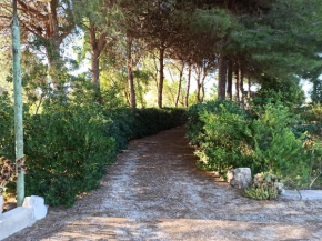 Casa dei Nonni by Briciole di Gusto - 3000mq di relax in giardino a 1500m dal mare